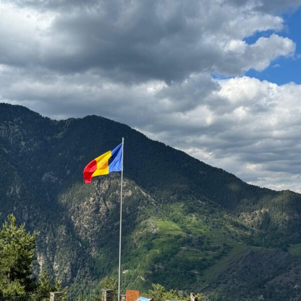 The eUniv Senate meets